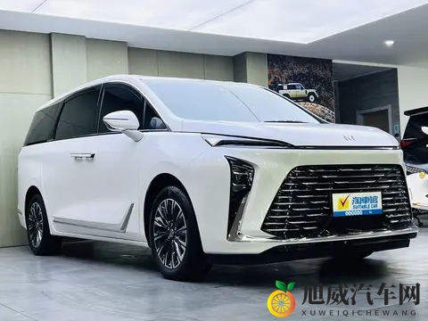 准新一手别克GL8陆尊：25款20T，8千公里，宜商宜家！-2