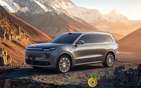 零跑D19玩出新活儿，30万价位里它能打么？-3