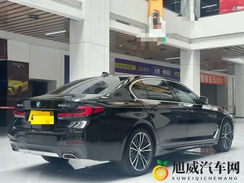 仙踪林老狼：探寻神秘仙踪，揭秘森林中的传奇老狼-1