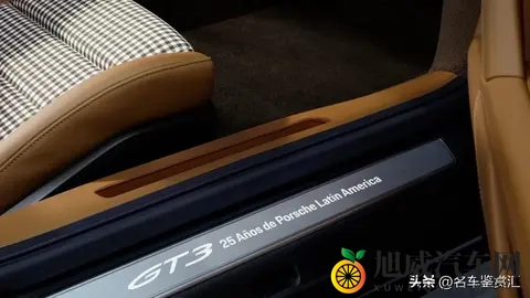 保时捷推出全新Sonderwunsch定制版911 GT3 “豹猫”-2
