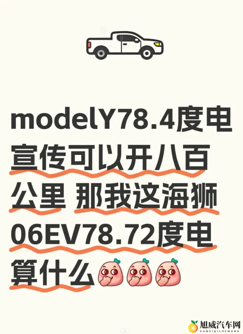 Model Y 和海狮 06EV ：电池容量差不多-1