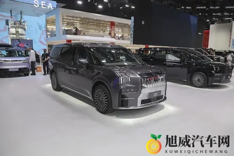 极氪009：明星家庭热衷，11月有这些优惠，值得买吗？-2