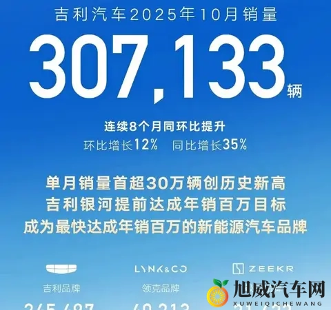 中国新能源汽车市场大混战：零跑杀出黑马比亚迪吉利打的火热-1