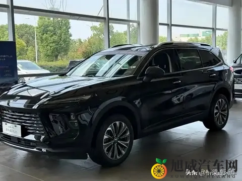 极品翘臀后进圆润大屁股：绝美臀部曲线，后臀圆润丰腴诱人-3