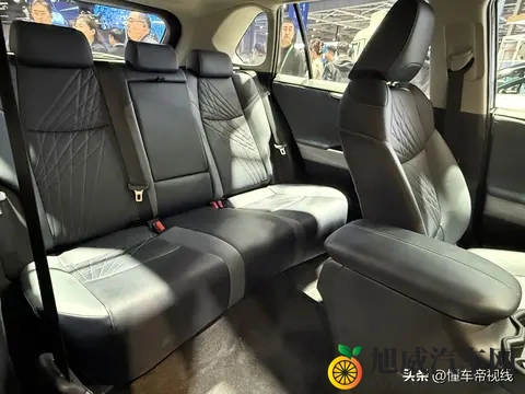 毛多水多:汽车市场新热二手冷,揭秘背后原因-2