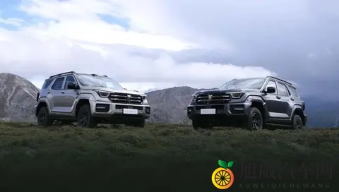 2498万元起，全新坦克400多动力齐发-2