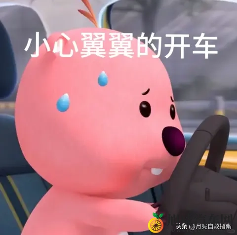 黄app大全：黄色应用盘点大全集-2