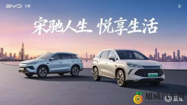 永久区域网名紧急通知：网络平台大变脸，功能升级引关注-1