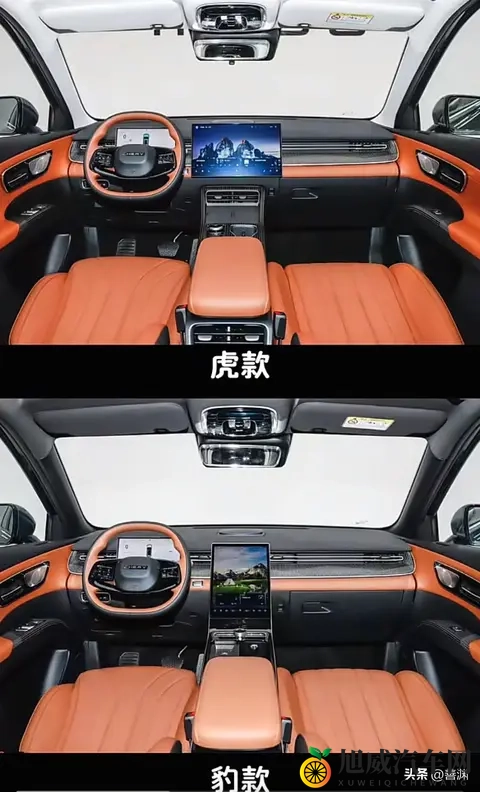 瑞虎8 豹款和虎款区别-1
