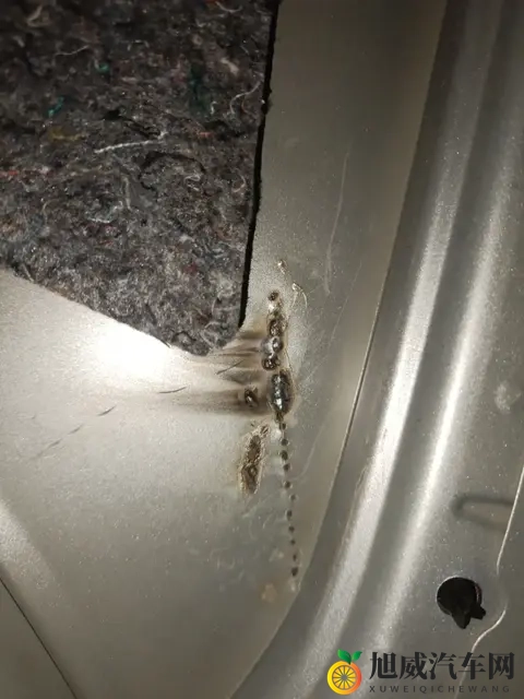 亚洲女人毛毛多毛耸耸：汽车文化新视角：亚洲女性魅力与汽车融合-2