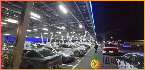 打扑克又痛又叫的软件：刺激游戏体验，声效强烈互动软件-2