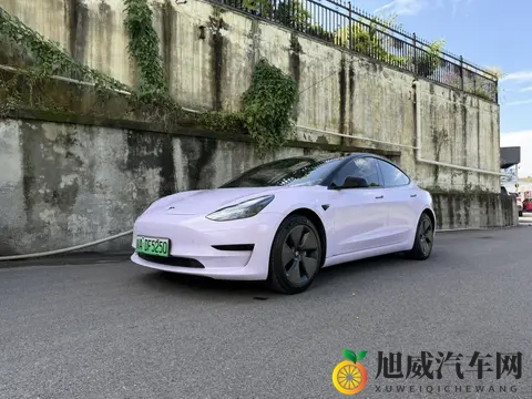 一手紫色Model3，54万公里，圆你特斯拉梦？-2