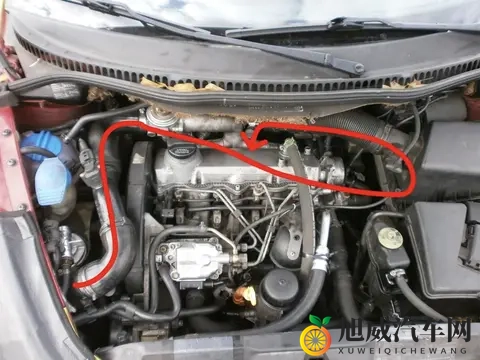 暴雨天开车，雨水拍车头会吸进气缸吗？真相很安心-3