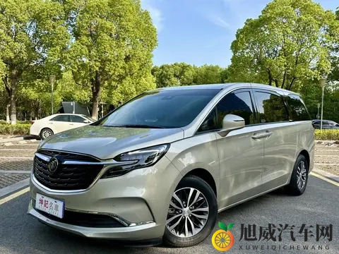 宜商宜家好选择，17万多拿下21款别克GL8陆尊-1