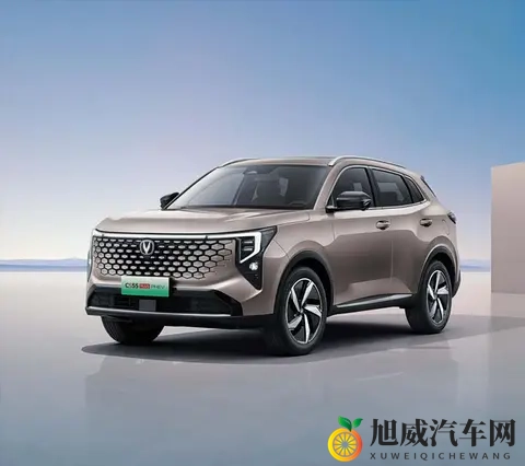 只有精品：精选品质，只为卓越-1