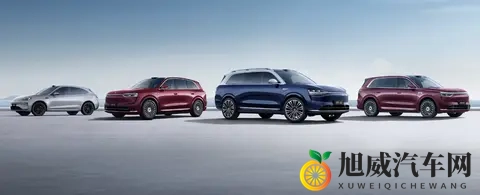 赛力斯挂牌港交所，首日一度跌超10%-1