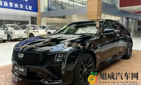 豪华B级车崩盘，捡漏还是踩坑，一场豪赌开始了-2