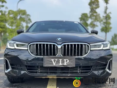 25万多拿下行政级座驾,2021款宝马530Li,享受豪华驾乘体验-1