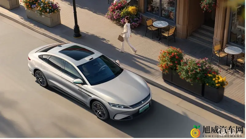 色中色软件：智能驾驶新突破，软件助力汽车变革-3