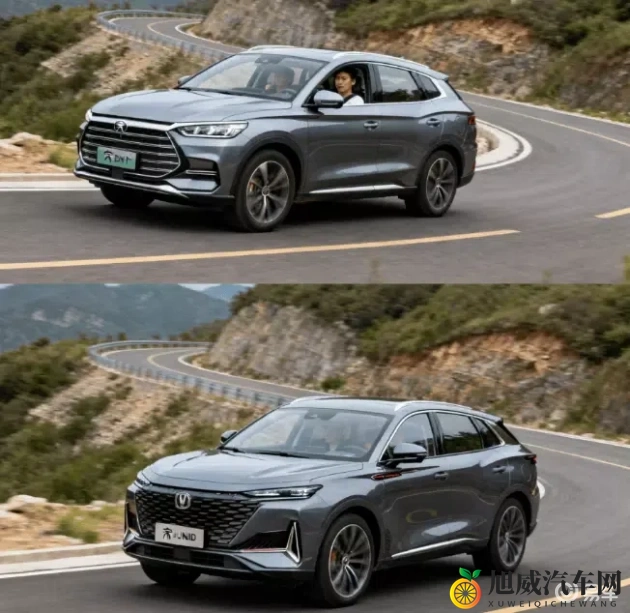 男生女生做那个的软件：情侣互动专属应用平台-1