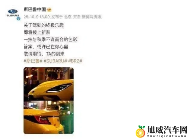 性别巴克2.0最新版特色下载软件：智能导航新升级，驾驶体验再飞跃-1