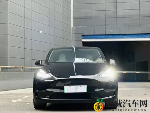 22年特斯拉Model Y：61万公里，高性能版，电车加速天花板？-1