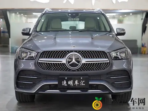 丰满少妇与藏獒交：风韵少妇与藏獒互动瞬间-1