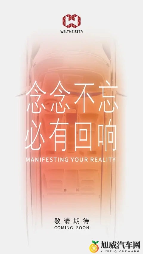 威马复活，一场“闹剧”or“爽剧”？-3