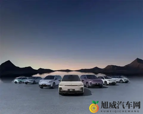 新能源车主喊贵,保险公司也头疼,这账到底怎么算的-2