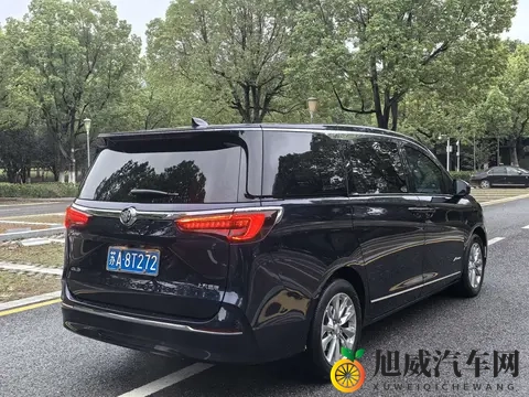 24万拿下二手别克GL8Avenir，豪华MPV商务家用皆宜-1