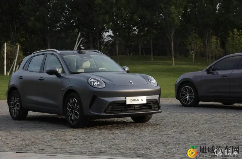 最高续航580公里 配激光雷达 欧拉5的预售价你们满意吗-1