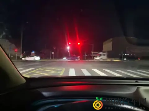 等绿灯有必要挂N挡吗？吃过亏的司机都这样做，安全又不伤车！-2