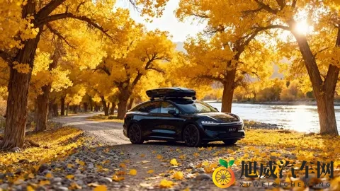 智界推出黑武士限时权益，至高58794元综合权益诚意拉满-2