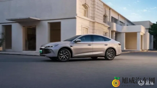 欧美又大又粗又长：欧美尺寸惊人，形态各异，引人注目-1