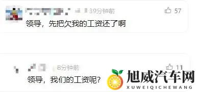 威马复活能活多久？接盘公司参保人数0，市场被吉利零跑瓜分干净-1
