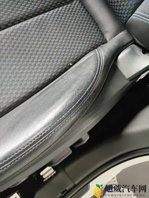 天堂a√:新能源汽车引领者:揭秘未来驾驶潮流新宠-3