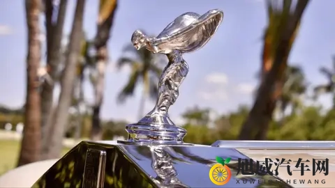 带镀金马桶的劳斯莱斯？126万欧元成交的定制传奇-3