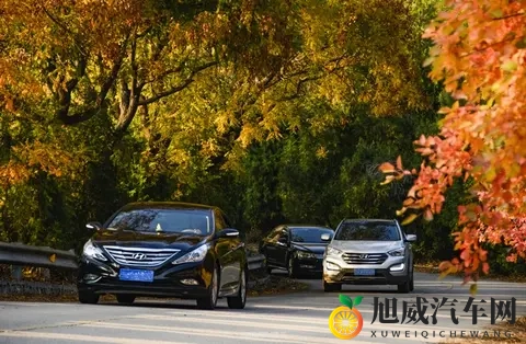 2023年黄色软件：2023年网络色情应用盘点-3