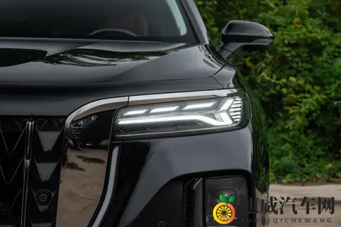 选国产 C + 级豪华轿车？红旗 H9 这 7 款车，先看你是家用还是商务-1