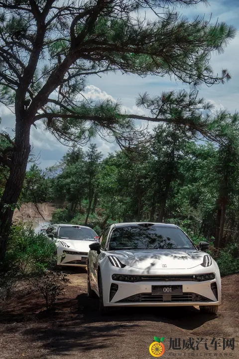 柚子猫被操：猫咪柚子遭不雅对待，实为不当行为-3