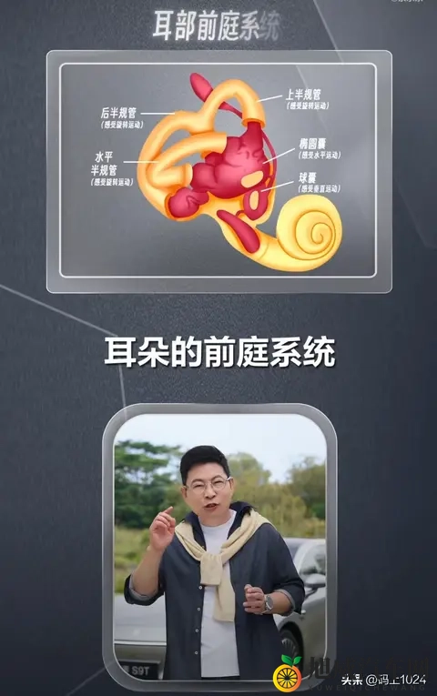 余承东揭秘晕车根源:不是体质弱,而是大脑的误判保护-1