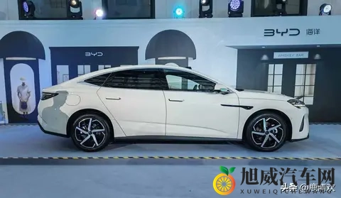 黄色软件APP下载：智能驾驶APP，安全出行新选择-1