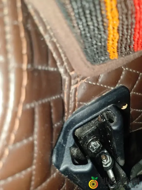 草莓52x：草莓种植新技巧，52倍丰收秘诀分享-2