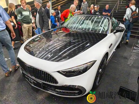 迈巴赫首款双座敞篷跑车亮相！双拼色车身动感十足，配40T V8动力-3