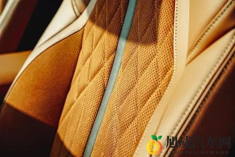 Nappa真皮普及背后:车企宣传的“文字游戏”该停了-1