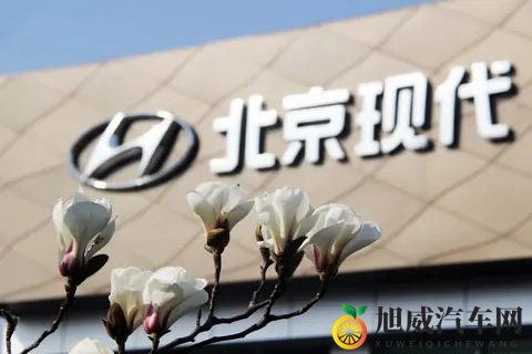 暴涨 87%!北京现代 10 月卖 2 万台,网友质疑:现在还有人买现代吗?-3