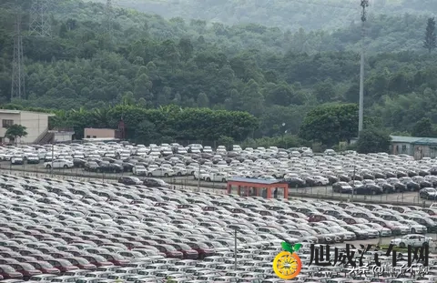 小电池增程车:别当冤种!这几类车买了可能亏到哭-1