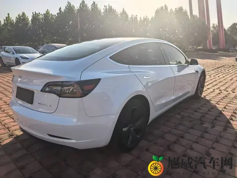 SPA老中医按摩高潮：汽车座椅革新：享受科技按摩新体验-2