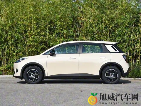 亲民版“海豚”上市!租电售价499万,续航达500Km,还支持换电-1