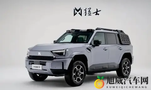 2025年10月方盒子车销量出炉:谁在逆袭?谁又跌惨了?-1